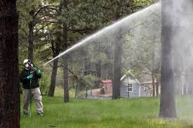 tree spraying in Co, TS