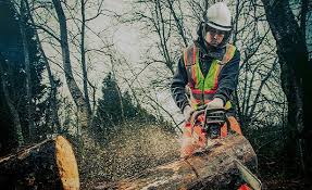 arborists in Anchorage, AK