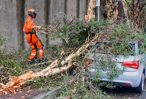 emergency tree service in Cleveland, OH